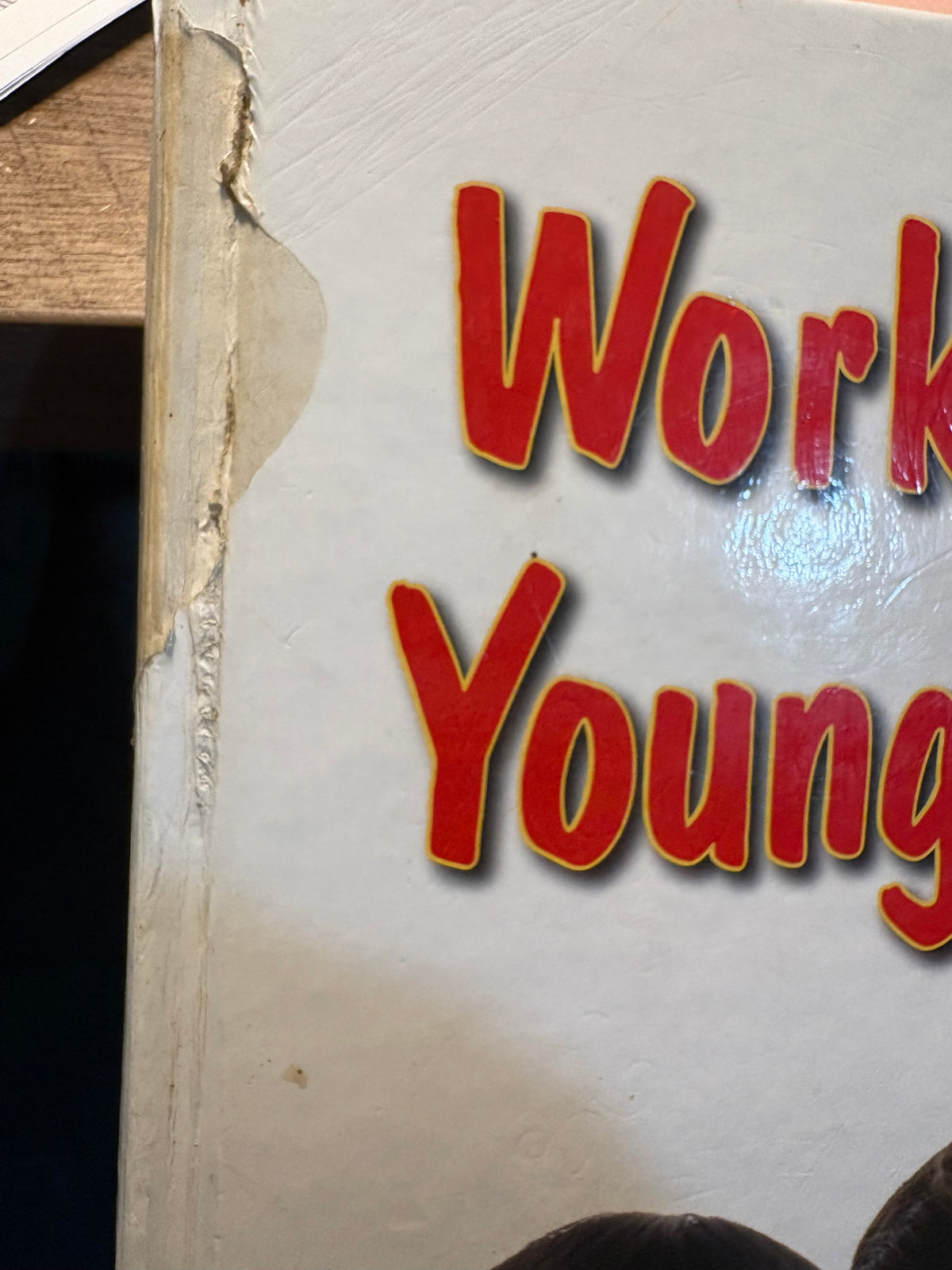 Judy Herr - Working with Young Children - Paperback - Used