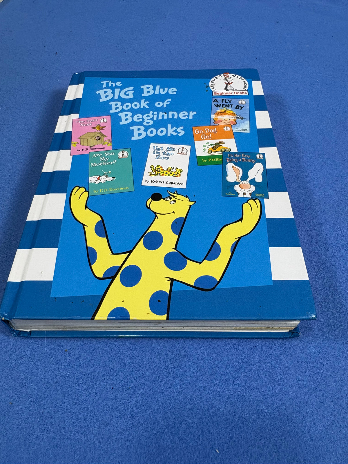 The Big Blue Book of Beginner Books