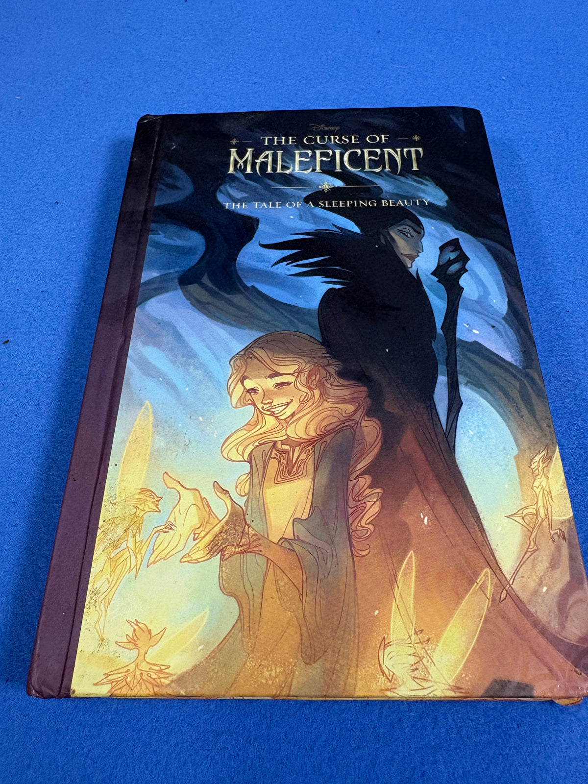 THE CURSE OF MALEFICENT(Tale of Sleeping Beauty)