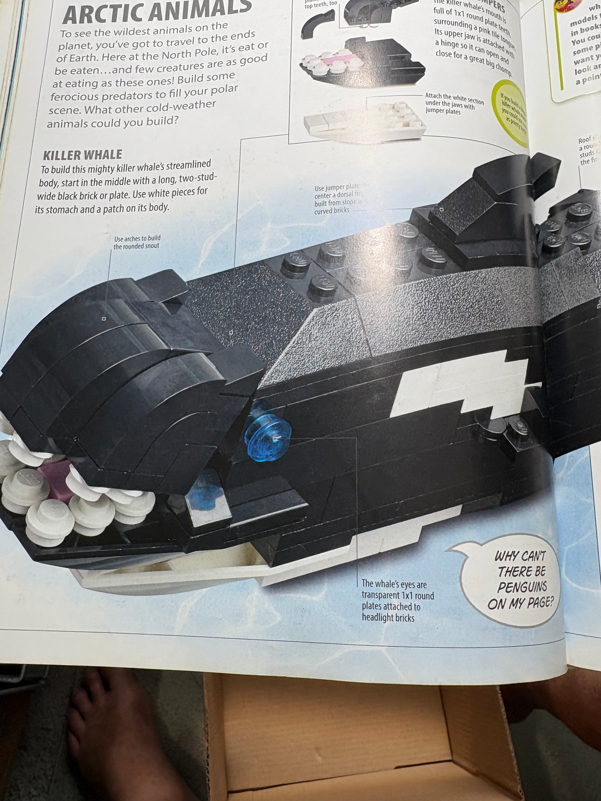 LEGO Play Book: Ideas to Bring Your Bricks to Life