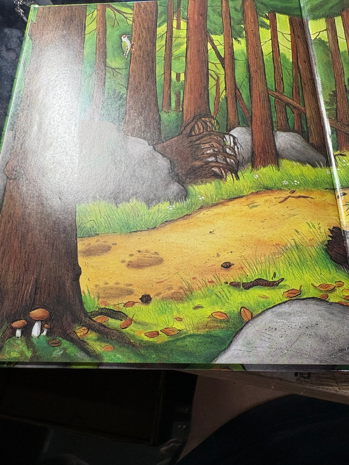 The Gruffalo "Dolly Parton's Imagination Library"