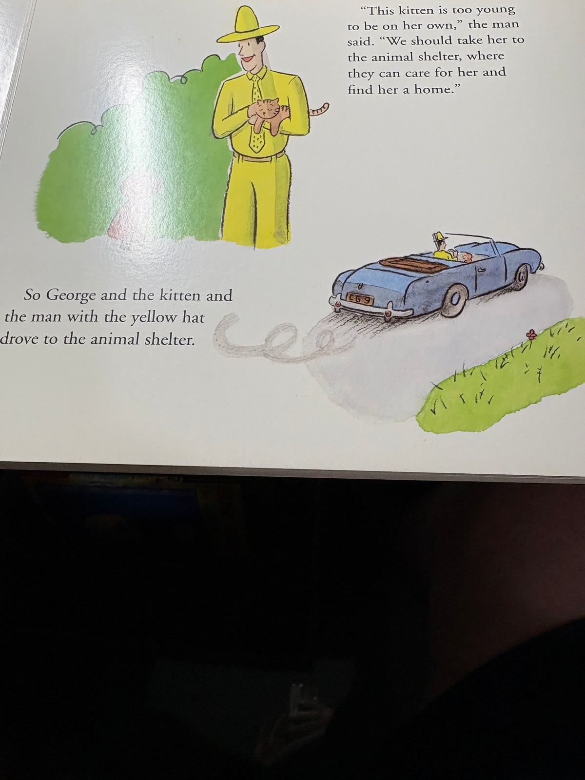 Curious George and the Puppies Lap Edition